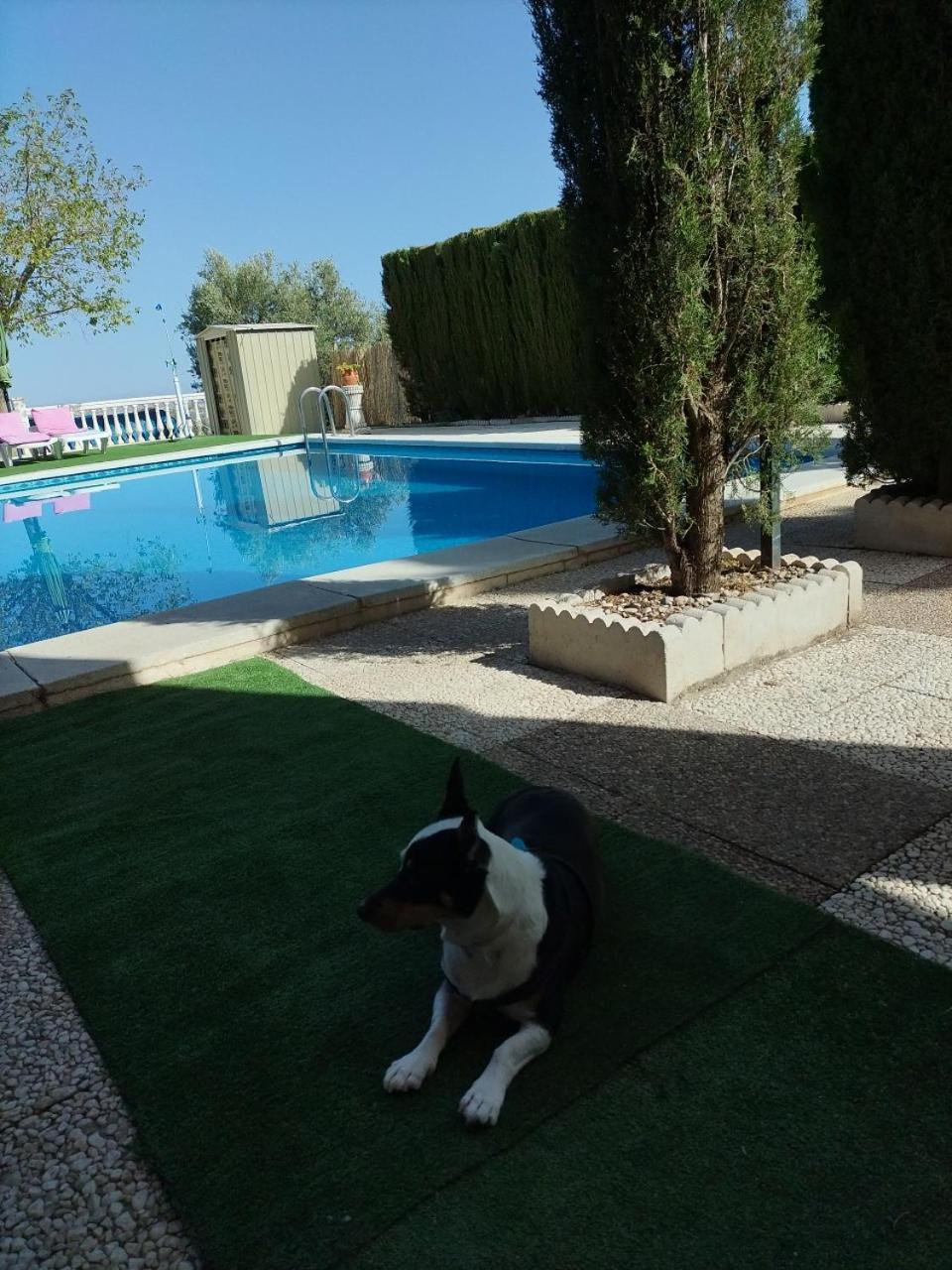 Vivienda Rural Villa Ruben Jaen Exterior photo